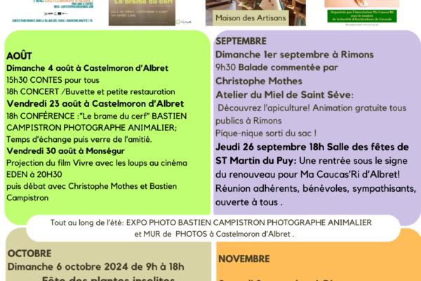 Newsletter #6 Août 2024