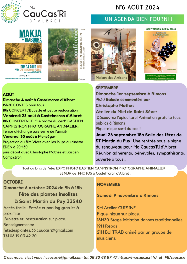 Newsletter #6 Août 2024