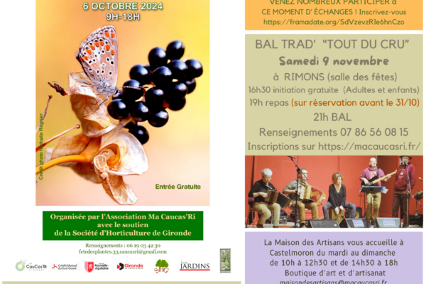 Newsletter #8 Octobre 2024